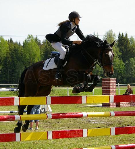 Profilbild