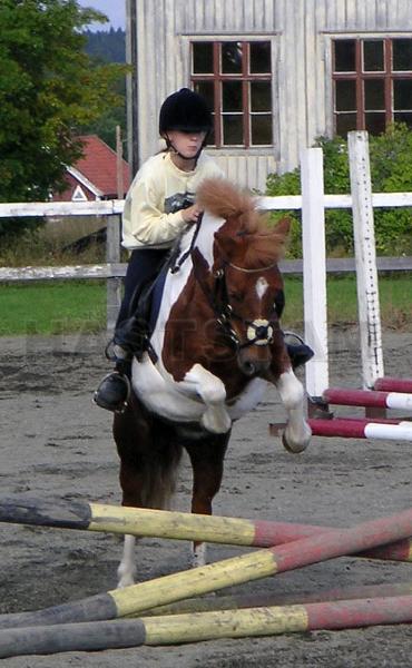 Profilbild