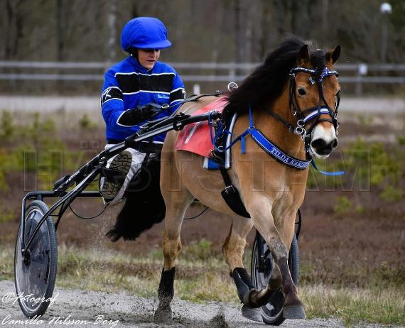Profilbild