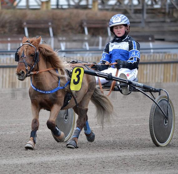Profilbild