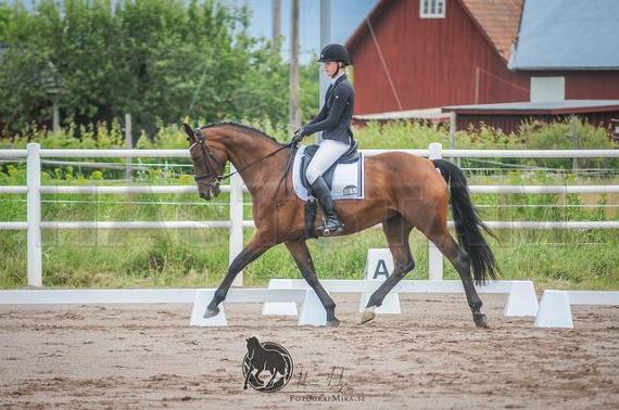 Profilbild