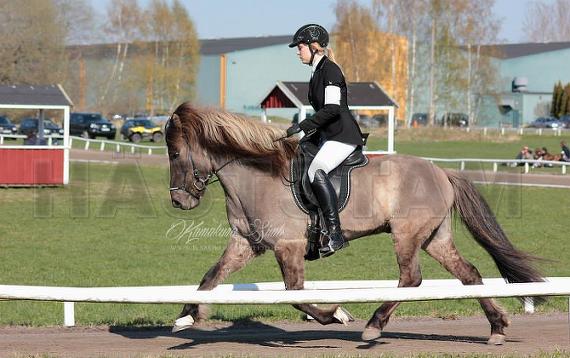 Profilbild