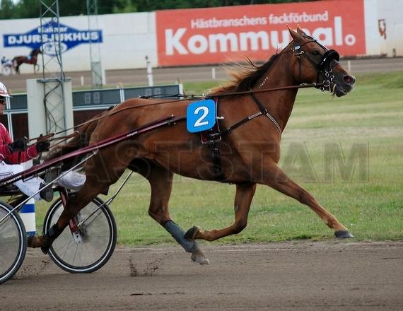 Profilbild