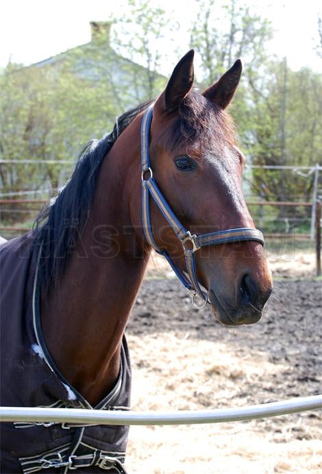 Profilbild
