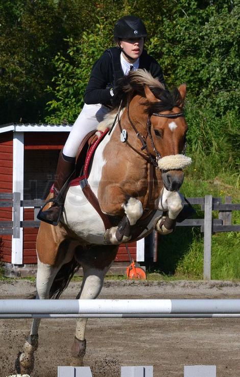 Profilbild