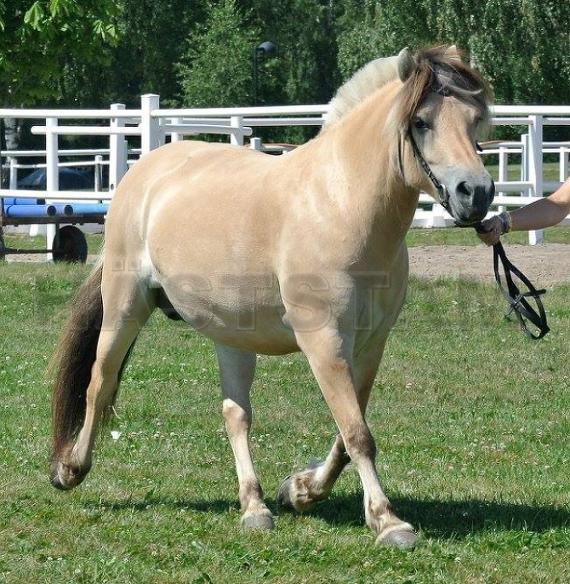 Profilbild