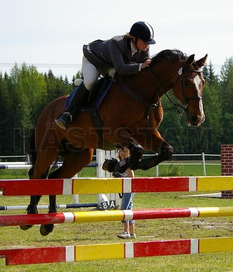 Profilbild