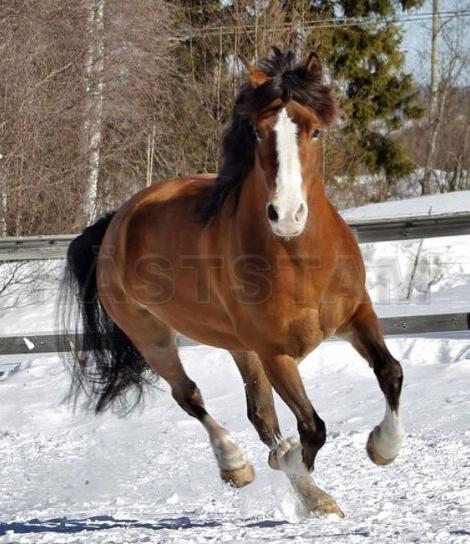 Profilbild