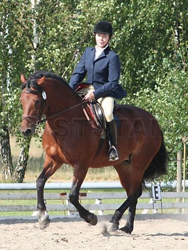 Profilbild