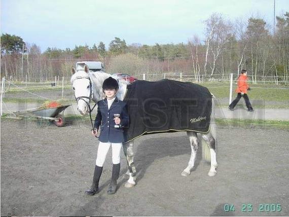 Profilbild