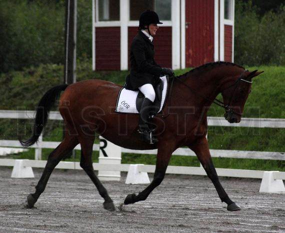 Profilbild