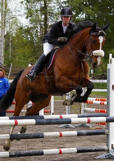 Profilbild