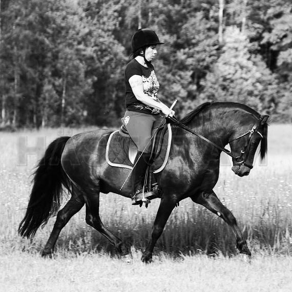 Profilbild
