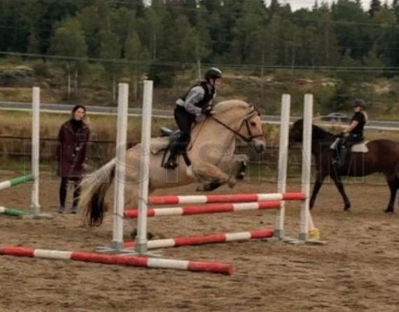 Profilbild