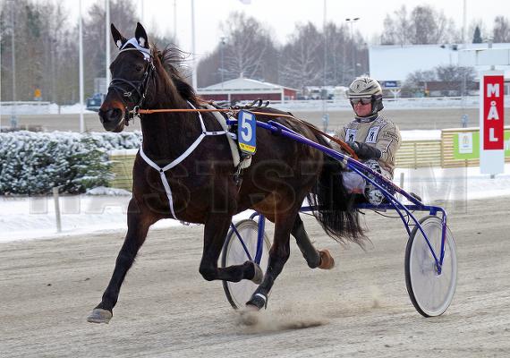 Profilbild