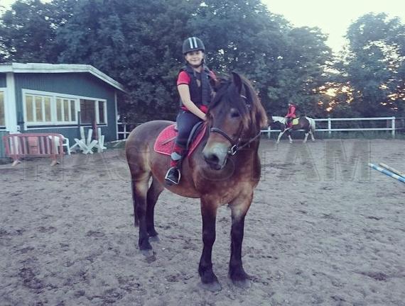 Profilbild