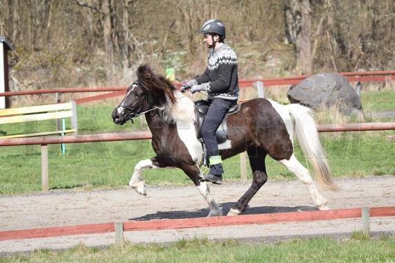 Profilbild