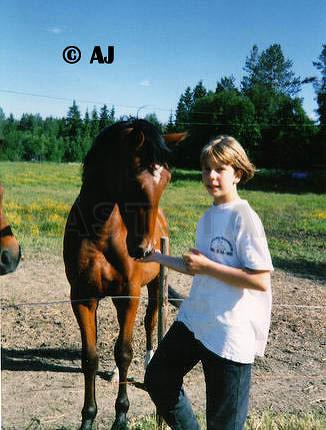 Profilbild