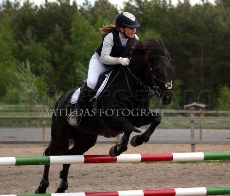 Profilbild