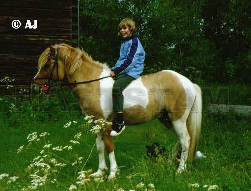 Profilbild