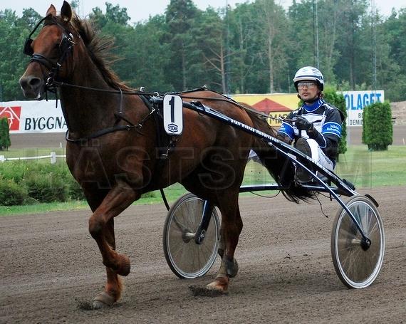 Profilbild
