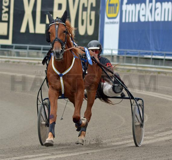 Profilbild