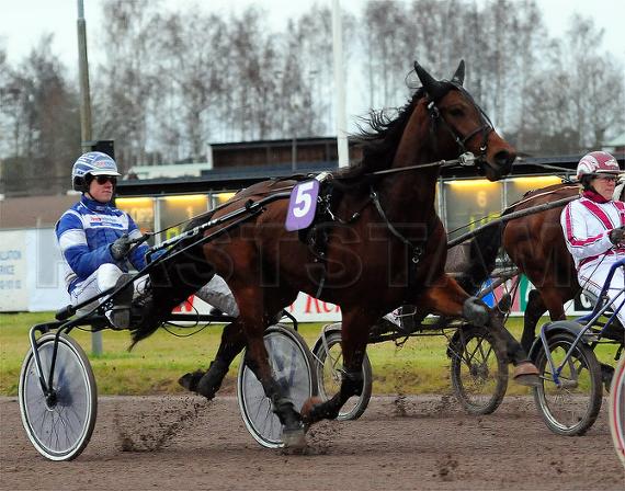 Profilbild
