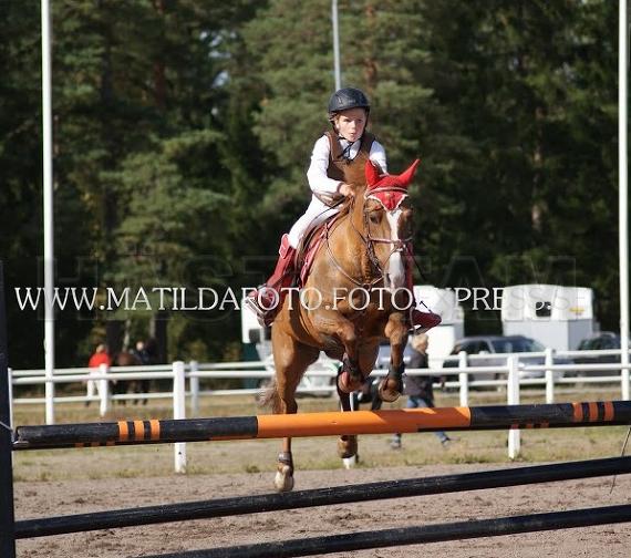 Profilbild