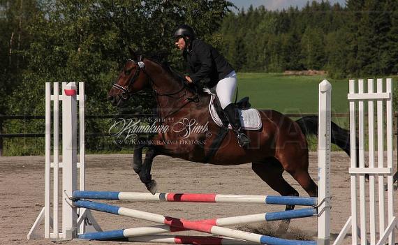 Profilbild
