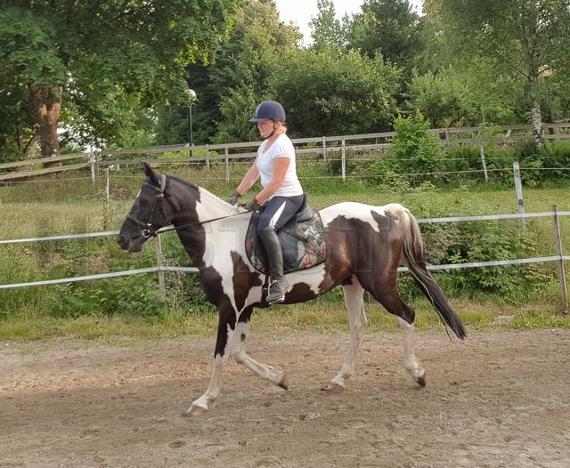 Profilbild