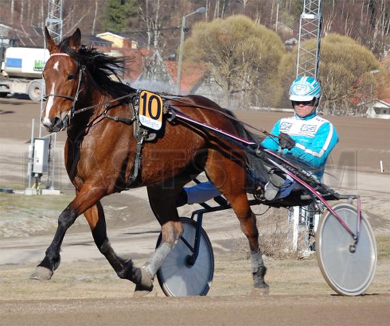 Profilbild