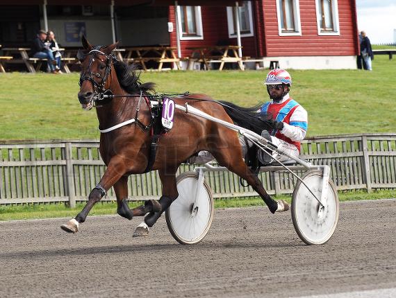 Profilbild