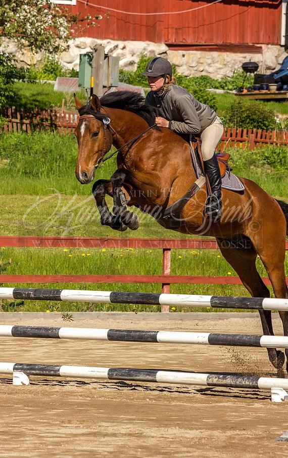 Profilbild