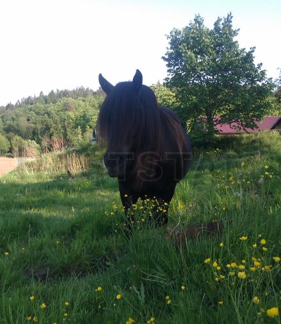 Profilbild