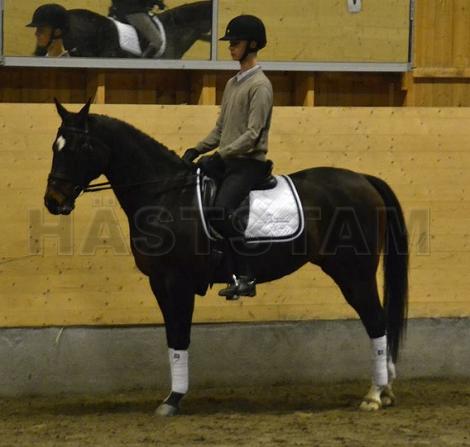 Profilbild