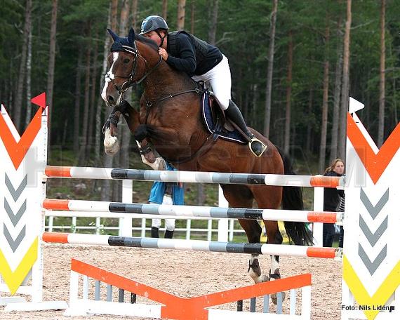 Profilbild