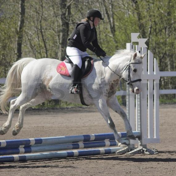 Profilbild
