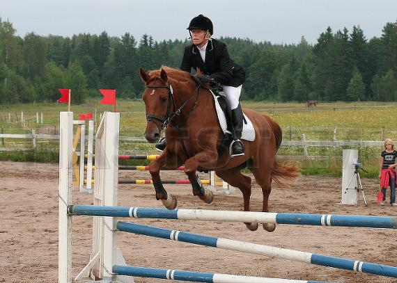 Profilbild