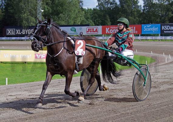 Profilbild