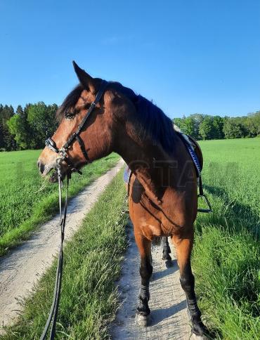 Profilbild