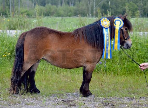 Profilbild