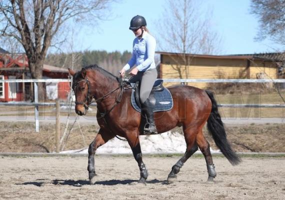 Profilbild