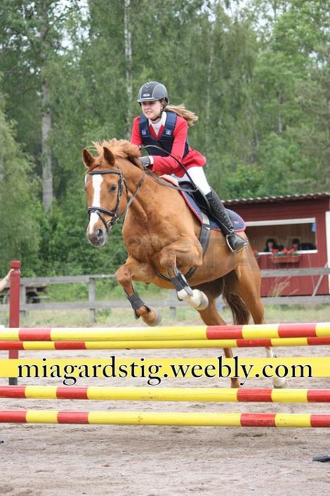 Profilbild