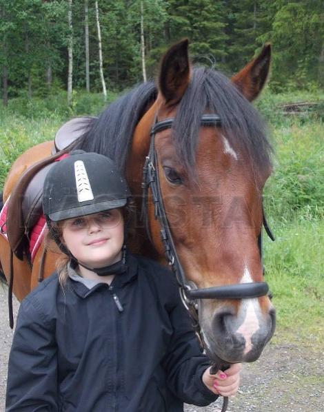 Profilbild