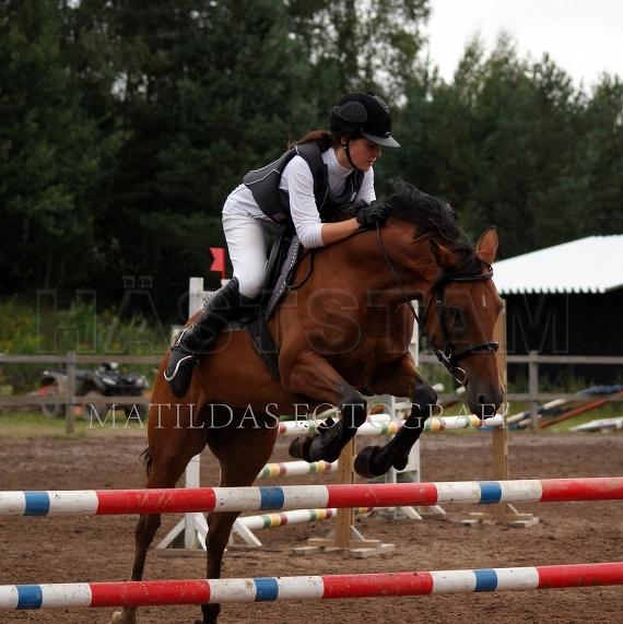 Profilbild