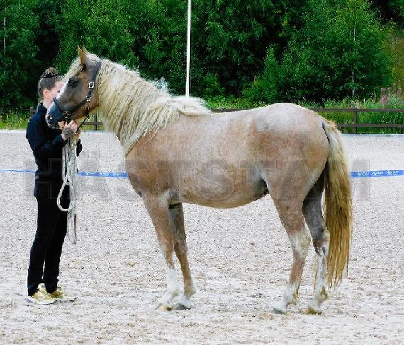 Profilbild