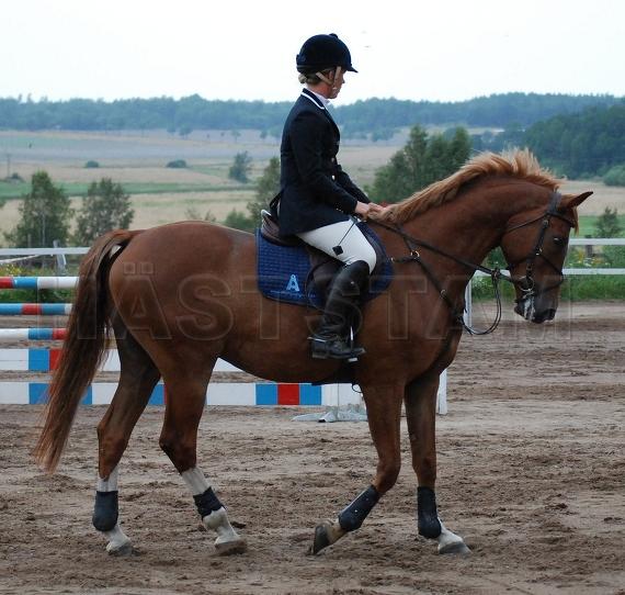 Profilbild