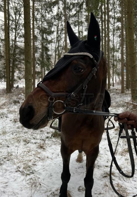 Profilbild