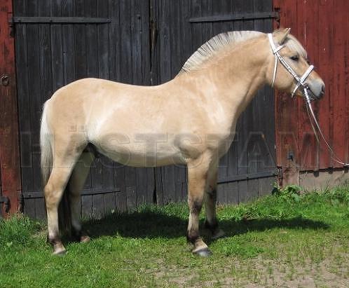 Profilbild