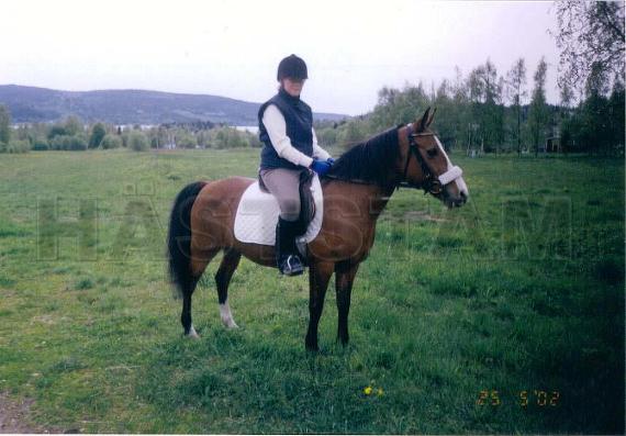 Profilbild